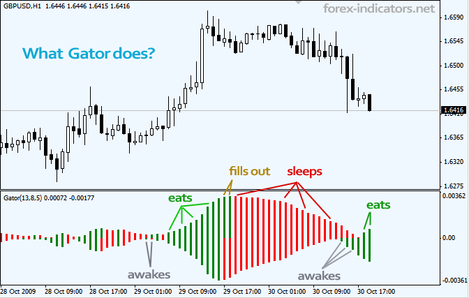 Gator indicator Forex