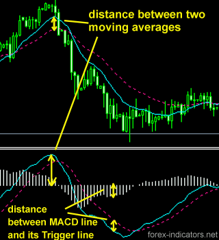 Forex MACD trading